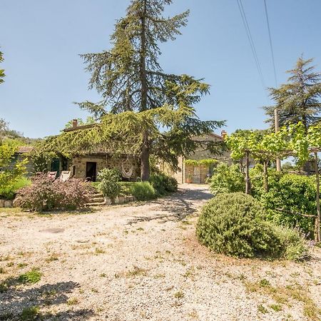 Appartamento Gemma Verde-Tavoleto Castiglione dʼOrcia Dış mekan fotoğraf