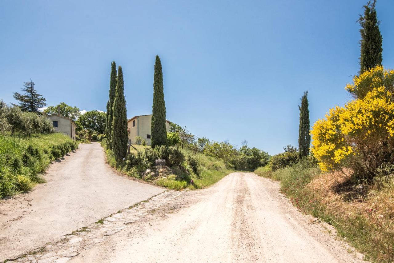 Appartamento Gemma Verde-Tavoleto Castiglione dʼOrcia Dış mekan fotoğraf