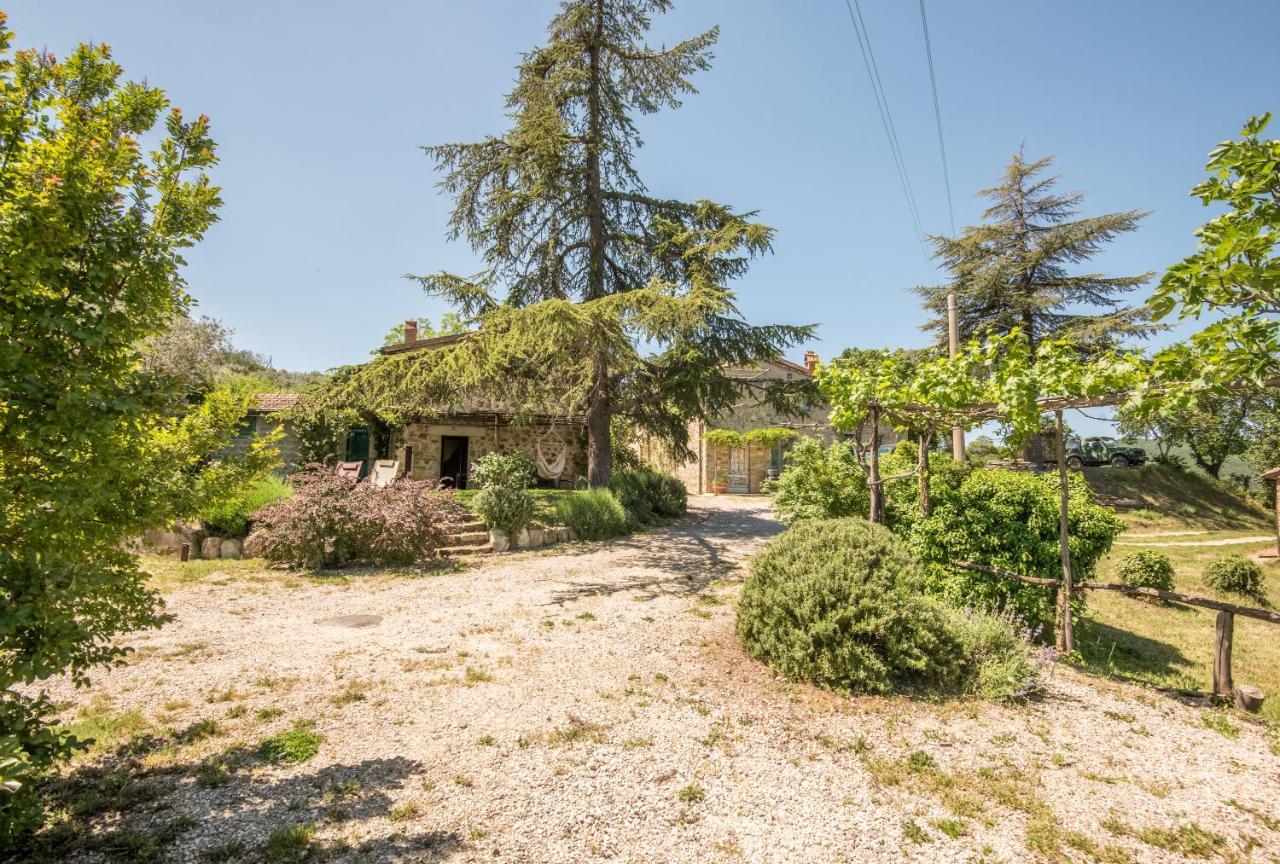 Appartamento Gemma Verde-Tavoleto Castiglione dʼOrcia Dış mekan fotoğraf