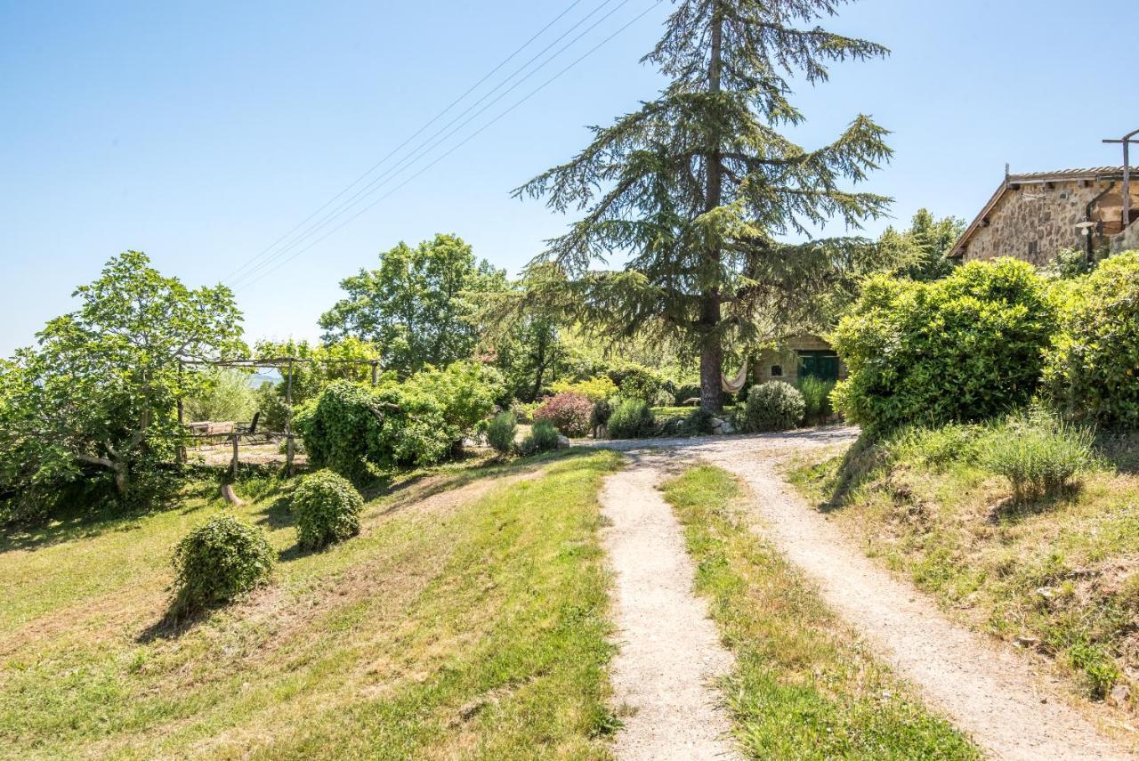 Appartamento Gemma Verde-Tavoleto Castiglione dʼOrcia Dış mekan fotoğraf